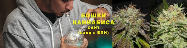 гидра Осташков