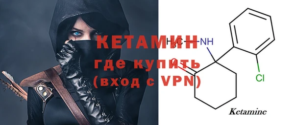 сатива Няндома