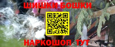 соль ск Камышлов
