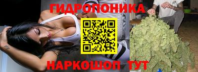 ешки Волжск