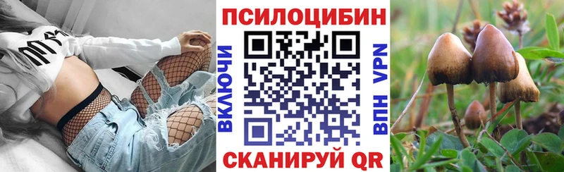 Псилоцибиновые грибы Psilocybe  Костомукша 