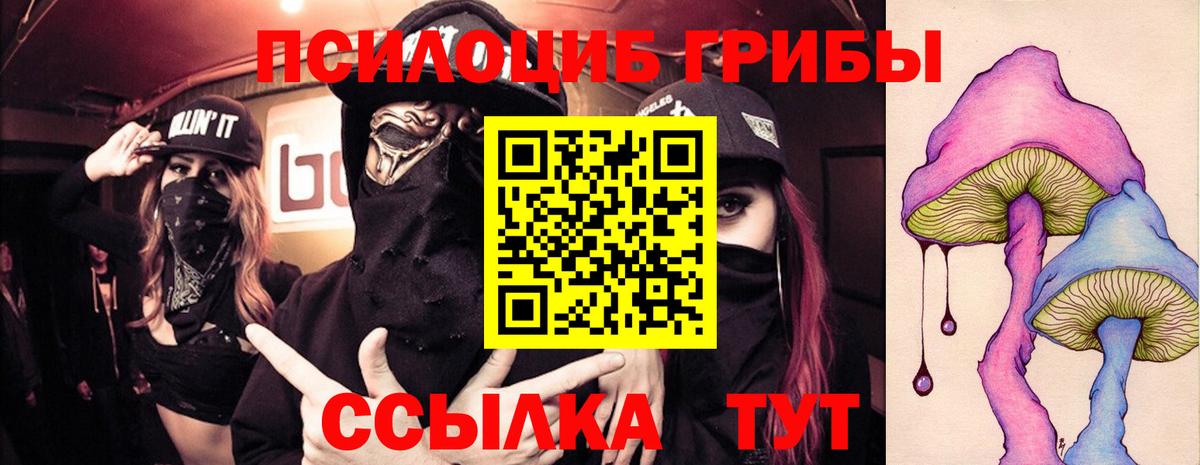 Псилоцибиновые грибы MAGIC MUSHROOMS  Вход с VPN  Галлюциногенные грибы мухоморы  Костомукша 